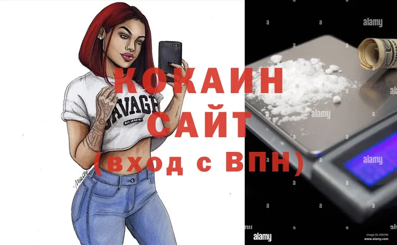 Cocaine FishScale  купить закладку  Тарко-Сале 